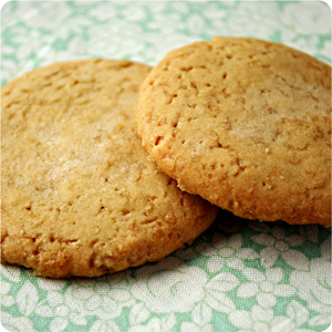 ジンジャービスケット